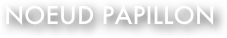noeud papillon