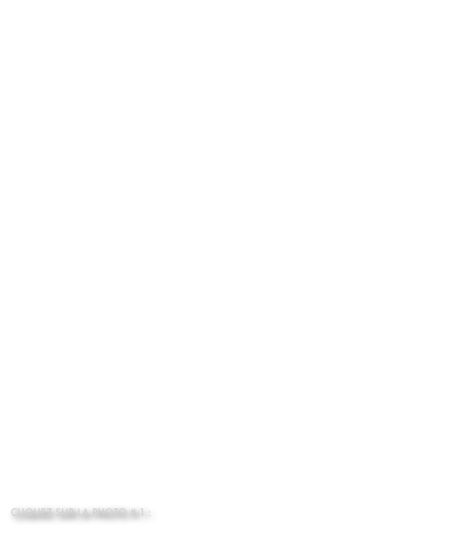 Le grimpeur doit, en tout temps lors de sa progression, être encordé avec une ou des cordes dynamiques (simple, double ou jumelle, respectant la norme UIAA-101 ou son équivalent EN-892). 
À son arrivée au relais le grimpeur doit se longer, idéalement de façon dynamique. 
Pour se faire, il peut utiliser une longe confectionnée à l’aide d’un bout de corde dynamique d’environ 2,50 m de long et respectant la norme UIAA-101 ou son équivalent EN-892, pour les cordes à brin simple. Ces cordes à brin simple sont les seules à résister à un minimum de 5 chutes de facteur 1,77 avec une charge de 80 kg édicté dans la norme.
Il peut également utiliser une longe dynamique cousue comme ceux proposés par le fabricant des cordes Béal. Cliquez ici pour voir les spécifications du produit et visionner le vidéo.
Je vous déconseille fortement l’utilisation d’une «daisy chain» car elle est très statique et déconseillée par les fabricants eux-mêmes.  Cliquez ici pour voir les spécifications du produit et la vidéo.
Je vous déconseille également les sangles et surtout celles en Dyneema ou l’équivalent, car en comparaison d’une longe dynamique, elle double la force choc en cas de chute de facteur 1, soit >15 kN.
Pour terminer, je vous déconseille l’utilisation de deux dégaines superposées, car en cas d’erreur du grimpeur la chute peut engendrer une force choc supérieur à la résistance d’un mousqueton ou de certain ancrage, soit >20 kN. 
Il est évident que s’il ne vous reste qu’une sangle pour vous longer, vous pourrez le faire en restant impérativement sous la barrière d’une chute potentielle de facteur 0.5 
Cliquez ici pour en savoir plus sur les dangers de cette technique (en anglais).

Avant d’amorcer votre rappel :
Longez-vous sur un relais conforme. Passez votre corde au travers des scellements, des maillons rapides ou des anneaux de rappel qui composent le relais. Vous pouvez également passer votre corde autour d’un arbre d’un bon diamètre. Ne jamais faire passer la corde dans l’oeillet d’une plaquette. Utilisez toujours des maillons rapides certifiés afin de ne pas endommager votre corde. Donc, prévoyez d’apporter avec vous quelques maillons rapides dont le diamètre est d’au moins 7mm. 
Réalisez un noeud d’arrêt à l’extrémité de chaque bout corde afin de ne pas passer tout droit à la fin de votre rappel. 

Cliquez sur la photo # 1 :